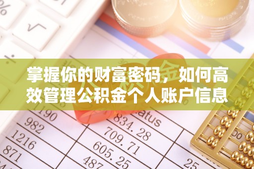 汪清掌握你的财富密码，如何高效管理公积金个人账户信息