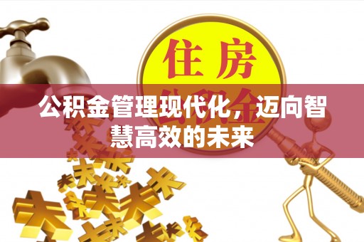 汪清公积金管理现代化，迈向智慧高效的未来