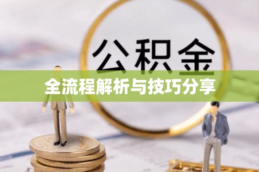 汪清全流程解析与技巧分享